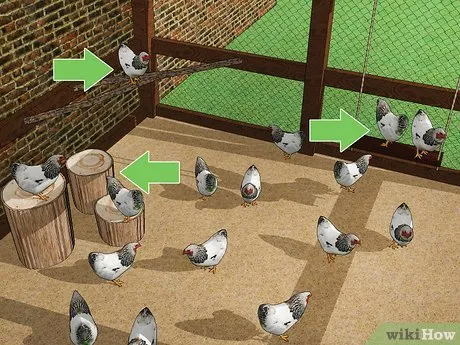 Изображение с названием Keep Chickens from Eating Their Own Eggs Step 4