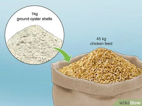Изображение с названием Keep Chickens from Eating Their Own Eggs Step 6