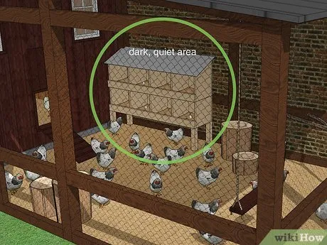 Изображение с названием Keep Chickens from Eating Their Own Eggs Step 2