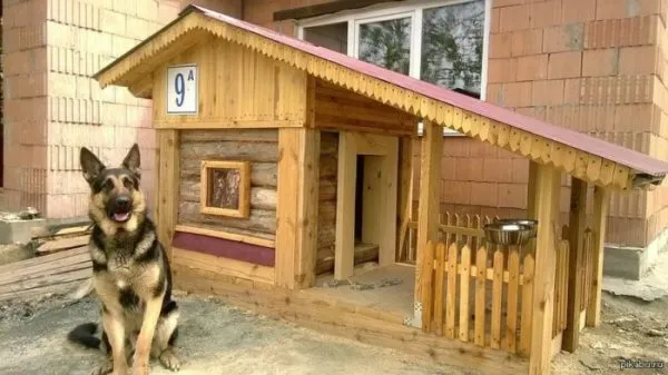 Будка для немецкой овчарки с тамбуром Будка для немецкой овчарки с тамбуром