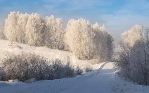 Какой фундамент под двухэтажный дом лучше: какой глубины и высоты использовать