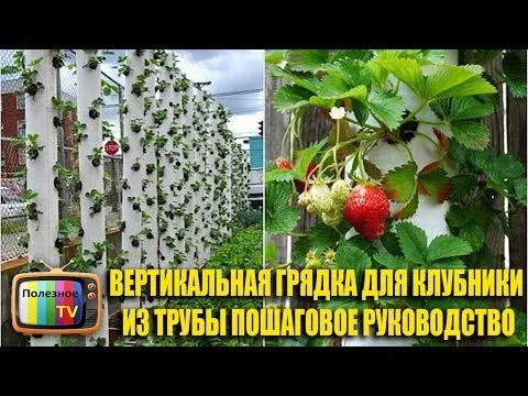 ВЕРТИКАЛЬНАЯ ГРЯДКА ДЛЯ КЛУБНИКИ ИЗ ТРУБЫ ПОШАГОВОЕ РУКОВОДСТВО