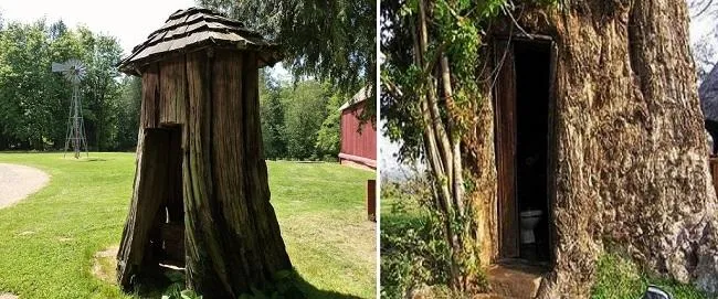 Туалет в стиле фэнтези