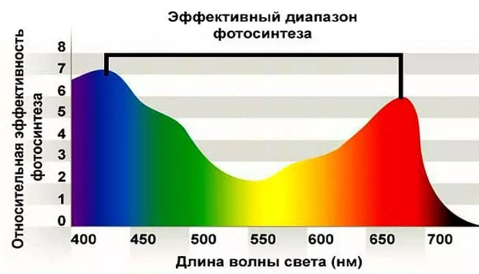 Эффективный диапазон фотосинтеза Эффективный диапазон фотосинтеза для растений
