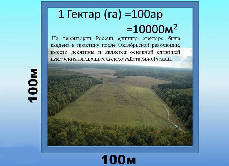 Сколько в одном гектаре квадратных метров