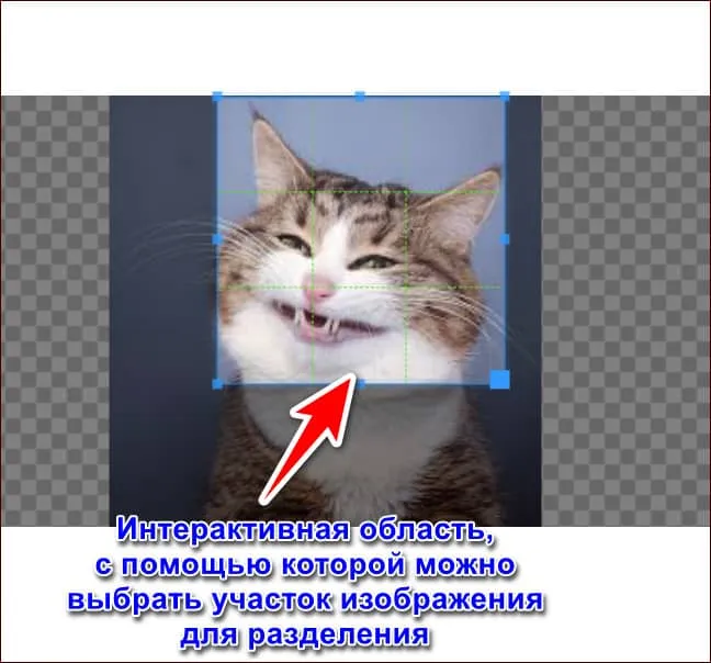 выбор области разделения на исходном снимке imagesplitter