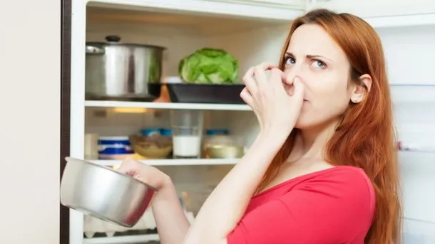 Как устранить запах в холодильнике ...