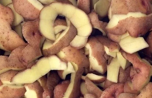 Картофельные очистки