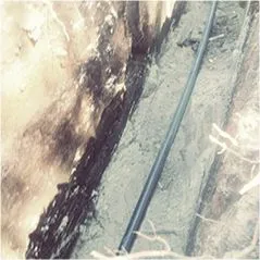 photo-3