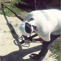 photo-3