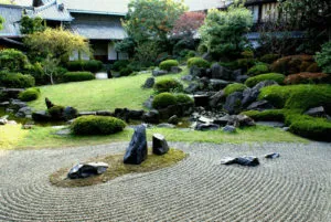Сад из камней